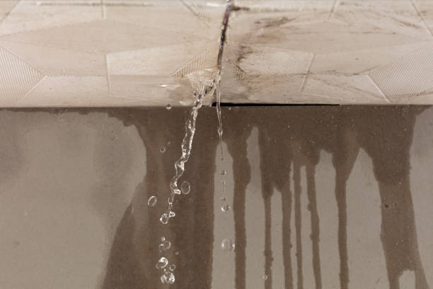 Professional Water Damage Repair technician working in Spartansburg, PA